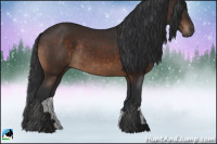 Horse Color:Brown Rabicano 