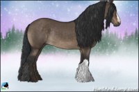 Horse Color:Brown Dun Rabicano 
