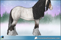Horse Color:Brown Roan Dun Splash Rabicano