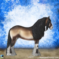 Horse Color:Brown Onyx Sabino 