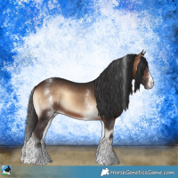 Horse Color:White Spotted Bay Onyx Sabino