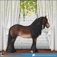 Horse Color:Brown 