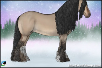 Horse Color:Brown Roan Dun 