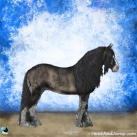Horse Color:Blue Onyx Sabino