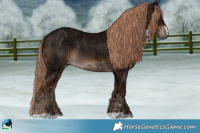 Horse Color:Liver Chestnut Ice Rabicano 