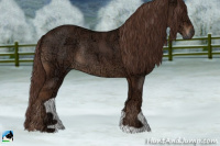 Horse Color:Liver Chestnut Ice Rabicano 