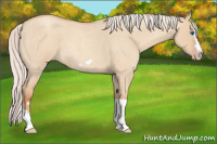 Horse Color:Silver Classic Champagne Roan Dun Splash Frame 