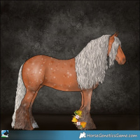 Horse Color:Silver Bay 