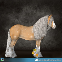 Horse Color:Silver Buckskin Splash