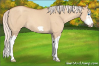 Horse Color:Silver Classic Champagne Dun Splash Frame 