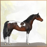 Horse Color:Brown Tobiano Rabicano 