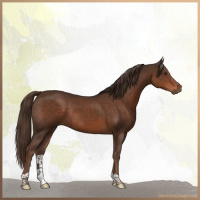 Horse Color:Liver Chestnut Tobiano Rabicano 