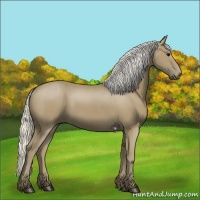 Horse Color:Silver Smoky Black 