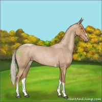Horse Color:Silver Blue Roan Pearl Tobiano Frame 