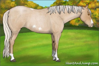 Horse Color:Silver Blue Roan Pearl Tobiano Frame 