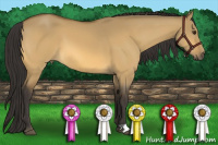 Horse Color:Buckskin Dun 