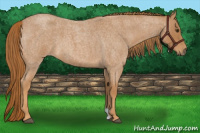 Horse Color:Red Roan
