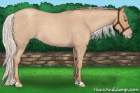 Horse Color:Silver Classic Champagne Roan 