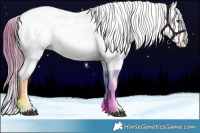 Horse Color:Plaid  Liver Red Dun Sabino 