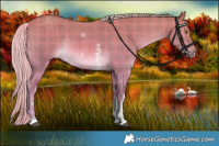 Horse Color:Plaid Chocolate Palomino Dun Sabino Rabicano