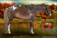 Horse Color:White Spotted Liver Chestnut Tobiano 