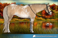 Horse Color:Chocolate Palomino Dun Tobiano