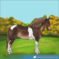 Horse Color:Liver Chestnut Tobiano 