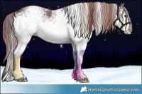 Horse Color:Plaid White Spotted Liver Red Dun Rabicano