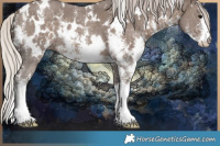 Horse Color:White Spotted Silver Black Sabino 