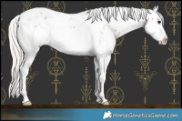 Horse Color:Silver Smoky Black Sabino Splash