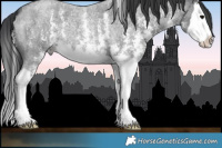 Horse Color:Blue Roan Sabino Splash