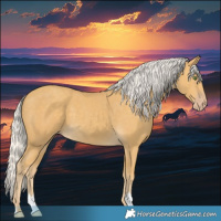 Horse Color:Silver Classic Cream Champagne 