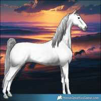 Horse Color:Gray White Spotted Smoky Black