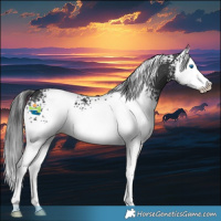 Horse Color:White Spotted Black Splash 