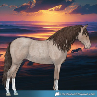 Horse Color:Classic Champagne Roan 