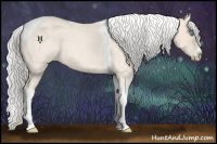 Horse Color:Silver Perlino Roan Splash Tobiano 