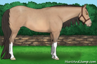 Horse Color:Amber Champagne