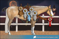 Horse Color:Silver Sable Cream Champagne 