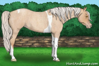 Horse Color:Silver Classic Champagne Roan Tobiano