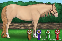 Horse Color:Gold Champagne 