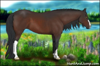 Horse Color:Brown 