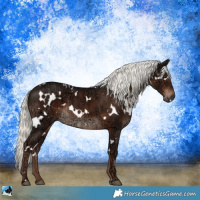 Horse Color:White Spotted Liver Chestnut Ice Mushroom 
