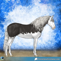 Horse Color:White Spotted Liver Chestnut Mushroom Splash 
