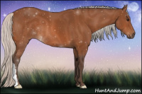 Horse Color:Silver Bay 