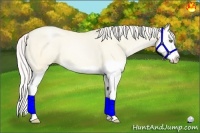 Horse Color:Silver Amber Cream Champagne Pearl Dun Splash