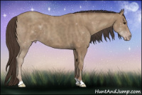 Horse Color:Classic Champagne 