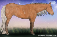 Horse Color:Silver Bay 