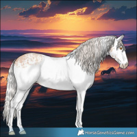Horse Color:White Spotted Silver Classic Champagne Roan 