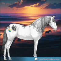 Horse Color:White Spotted Black Tobiano 