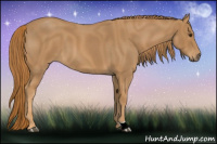 Horse Color:Red Roan 